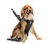 Zolux Travel Safe Harnais de Sécurité Auto pour Chien M - Noir - Chiens 14-26kg - Fixation ISOFIX + Top Tether - Système Antidesserrage MASA - Crash-Testé - Ajustable - Confortable - Marque Française