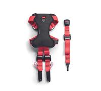 Harnais de securité pour chien Zolux Travel Rouge M
