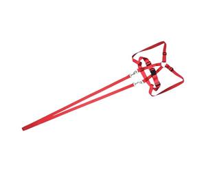 Harnais de Sécurité pour Enfant - Sécurité Et Jeu En Extérieur Pour - Laisse Anti-Fugue Ergonomique Pour Randonnée, Camping, Aventures Et Sorties En Plein Air