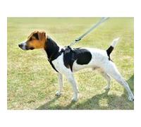 Harnais de sécurité voiture pour chien - Taille L G