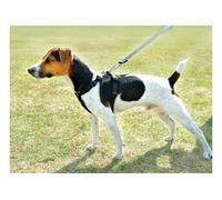 Harnais de sécurité voiture pour chien - Taille M