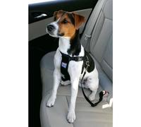Harnais de sécurité Zolux pour chiens taille M [403325]