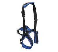 Harnais de soutien de jambe arrière pour chien pour haltérophilie des hanches, levage arrière de la main, aide à la marche