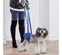 Harnais de Soutien de Levage pour Marche de Chien pour Animaux de Compagnie Handicapés Blessés avec Notre Harnais Offre Une Aide en Aidant au Harnais de Levage de ChienSupport