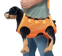 Harnais de soutien de patte arrière pour chien - Aide aux blessures pour les déchirures du LCA, le ligament croisé, le disque glissé - Solution de mobilité pour animaux handicapés