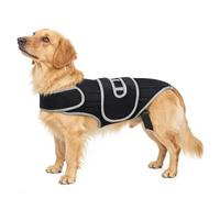 Harnais de Soutien Dorsal pour Chien avec hernie discale Gilet stabilité