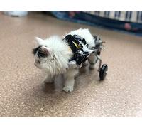 Harnais de Soutien pour Chien, Fauteuil Roulant pour Chat Lapin Handicapé Réadaptation pour Patte Arrière/Jambe Arrière, Aide à Marcher, Chariot pour Les Animaux âgés et Blessés