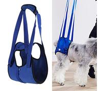 Harnais de soutien pour chien, sangle de levage arrière pour chiens souffrant d'arthrite et de blessures articulaires, approuvé par les vétérinaires pour une meilleure stabilité et mobilité