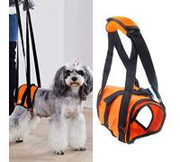 Harnais de soutien pour chien, sangle de levage arrière pour chiens souffrant d'arthrite et de blessures articulaires, approuvé par les vétérinaires pour une meilleure stabilité et mobilité