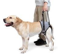 Harnais de Soutien pour Grand Chien, Aide à la Mobilité pour Arthrose et Rééducation, Taille XL - Gris