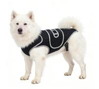 Harnais de Soutien pour le Dos du Chien Ajustable pour la Stabilité
