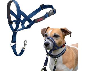 Harnais De Tête Halti Bleu Optifit Réglable Pour Chiens Confort Sécurité