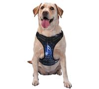 Harnais de traction avec microphone et notes de musique pour animal domestique