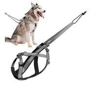 Harnais De Traction De Chien - Harnais De Formation Ajustable, Sangle Réfléchissante | Équipement D'exercice En Plein Air Pour Extérieur, Harnais De Chien De Grand Nylon Confortable Avec Attac