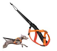 Harnais de traction pour chien - 1 harnais de course réfléchissant pour chien - 40 à 55 cm - Sangle confortable et réglable pour l'entraînement de luge, la marche, les exercices de traction et les