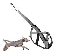 Harnais de Traction pour Chien Harnais Canin Réfléchissant Pour Course | Sangle Adjustable Confortable pour Randonnée Sports Entraînement et Activités Extérieures
