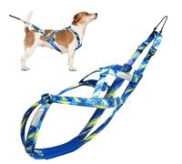 Harnais de traction pour chien | Harnais de poitrine réfléchissant réglable | Harnais de dressage pour chien d'extérieur avec corde flexible | Harnais de traîneau, de marche et de randonnée pour