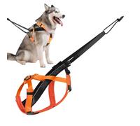 Harnais de traction pour chiens | Harnais réfléchissant pour gros chien | Corde de traction réglable pour traîneau d'entraînement marche course exercice sports activités de plein air