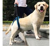 Harnais De Transport Pour Chien Harnais Pour Colonne Vertébrale Pour Chien Harnais Réglable Pour Pattes Arrières Harnais De Rééducation Avec Poignée Pour Chiens Blessés Et Arthritiques ( Size : XL )