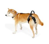 Harnais de Transport Réfléchissant pour Chien,Harnais Rééducation Chien avec Poignée et Sangles Réglables,Bandoulière Arrière pour Chiens Âgés,Malades,Blessés et Handicapés