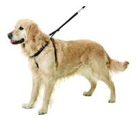Harnais d'éducation pour chiens easy walker taille l longueur 40-58 cm