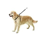 Harnais d'éducation pour chiens easy walker taille xl longueur 52-84 cm
