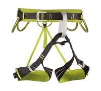 Camp Alpine Flash Sangle d’escalade L Vert