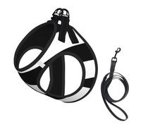 Harnais d'été pour chien à rayures noires et blanches, gilet léger et respirant, réfléchissant pour une promenade facile