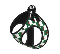Harnais d'été pour Chien avec Drapeau algérien imprimé et Laisse Assortie,