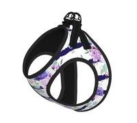 Harnais d'été pour chien avec impression de plantes grasses rayées, gilet léger et respirant, réfléchissant pour une promenade facile