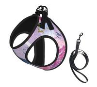 Harnais d'été pour chien avec imprimé fleurs roses et libellules - Doux et léger - Harnais réfléchissant pour une promenade facile
