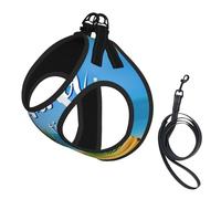 Harnais d'été pour chien avec imprimé perroquet, ananas et oiseau, 2 boucles, gilet pour chien, clip de laisse avant anti-traction, pour chiens de petite et moyenne taille