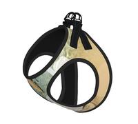 Harnais d'été pour chien avec laisse réglable et réfléchissant Motif étoile de mer et coquillages