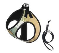 Harnais d'été pour chien avec laisse réglable et réfléchissant Motif étoile de mer et coquillages