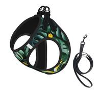 Harnais d'été pour chien avec laisse réglable et réfléchissant Motif feuilles tropicales avec fleurs