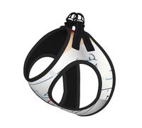 Harnais d'été pour chien avec laisse réglable et réfléchissant Motif formule mathématique