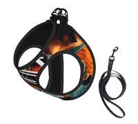 Harnais d'été pour chien avec laisse réglable et réfléchissant Motif guitare musicale