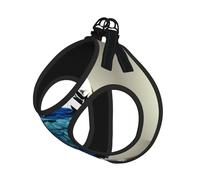 Harnais d'été pour chien avec laisse réglable et réfléchissant Motif perroquet Bleu