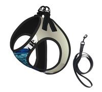 Harnais d'été pour chien avec laisse réglable et réfléchissant Motif perroquet Bleu