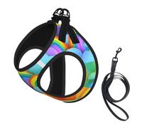 Harnais d'été pour chien avec motif cœurs arc-en-ciel, gilet léger et respirant, réfléchissant pour une promenade facile