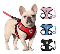 Harnais d'été pour chien et chat, laisse en plomb, gilet réglable, maille en Polyester, respirant, réfléchissant pour petit chien et chat Lesah Bleu