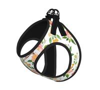 Harnais d'été pour chien imprimé fleurs et oiseaux, gilet léger et respirant, réfléchissant pour une promenade facile