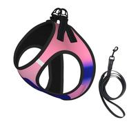 Harnais d'été pour chien imprimé musique bleue, gilet doux et léger, harnais réfléchissant pour animal domestique pour une promenade facile