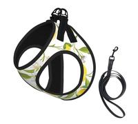 Harnais d'été réfléchissant avec motif citrons tropicaux frais pour chiens et chats de petite, moyenne et grande taille