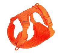 Harnais D'extérieur Réfléchissant pour Chat Et Chien, sans Traction, en Maille Respirante, en Nylon, Doux Et Confortable, pour Chiens De Taille Moyenne Et Grande, Bouledogue Français, Labrador,Or