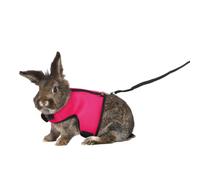 Harnais doux avec laisse 1,2 m pour grand lapins - couleur aléatoire