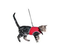 Trixie Harnais pour chat doux avec laisse - XL 36-54 cm - 1,20 m - Noir