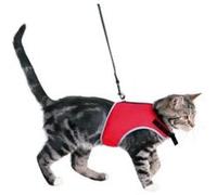 Trixie Soft Cat Harness with Leash, 36 - 54 cm x 1.20 m, Black