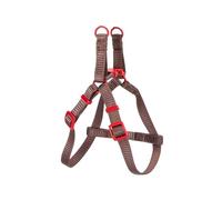 Harnais en Nylon Multicolore, Lot de 4 unités, résistant et réglable, idéal pour Animaux de Compagnie, entraînement et sécurité.