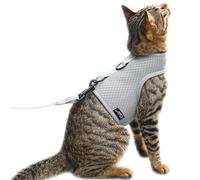 Harnais et laisse anti-fugue pour chat - Tissu en maille respirante - Harnais réglable, rembourré et élégant - Gris uni, taille M